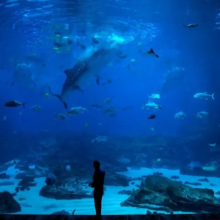 Ateneo By Silastur Gijón